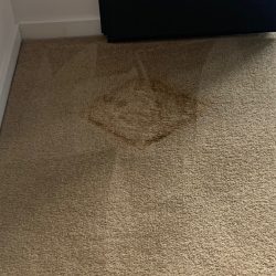 Carpet stain repair 1