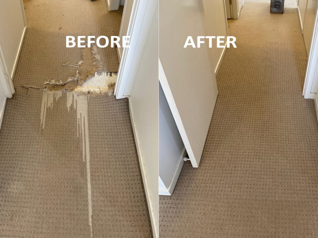 Professional Carpet Repair & Installation in Brisbane