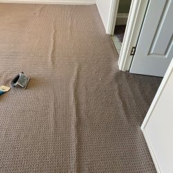 Carpet restretching 1