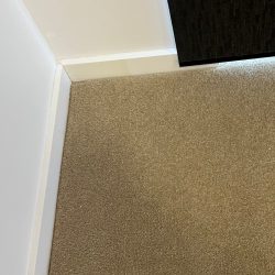 Carpet stain repair 2